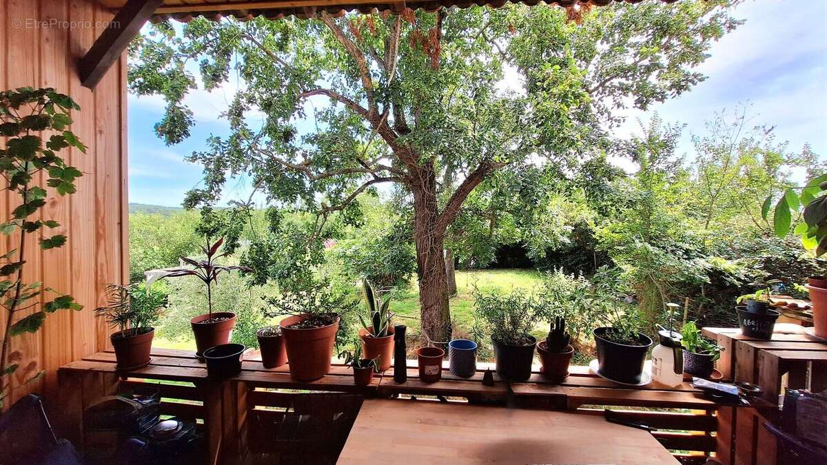 apparetement balcony
