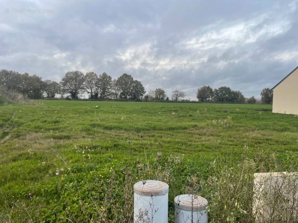Terrain à LA CHAPELLE-D&#039;ALIGNE