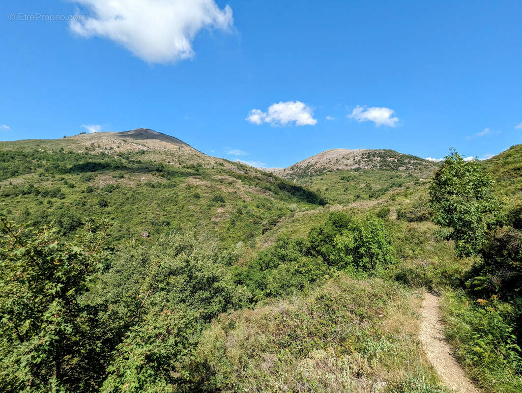 Terrain de 68490 m2 NON CONSTRUCTIBLE, Vence 06140 - photo 3