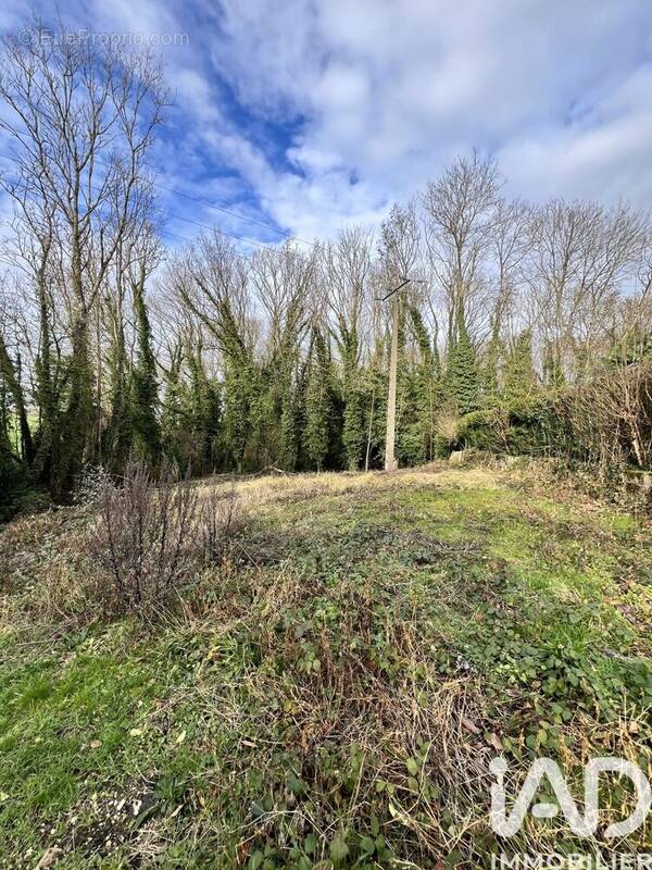 Photo 1 - Terrain à VILLEMAREUIL