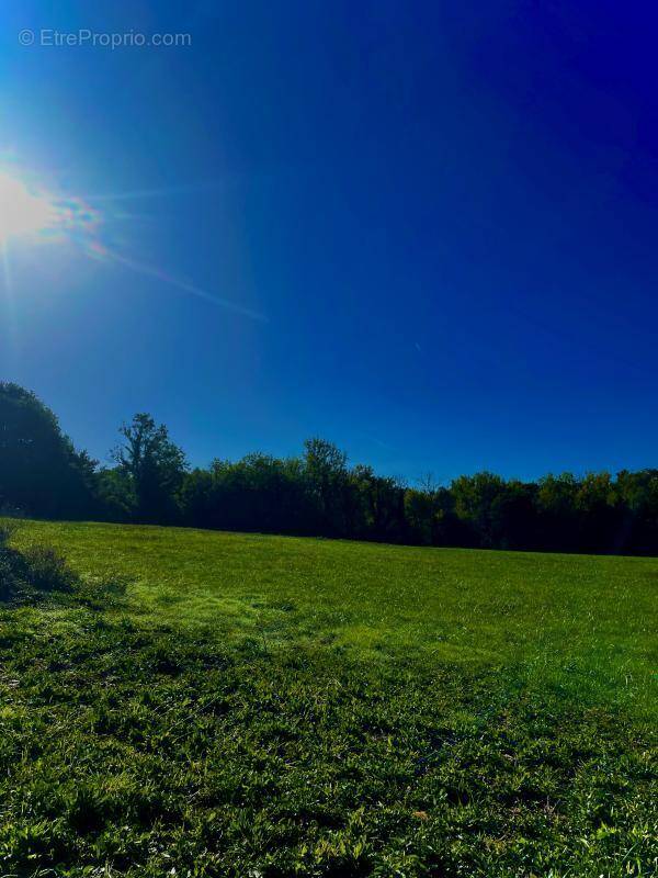 Terrain à SAINT-PIERRE-DE-COLE