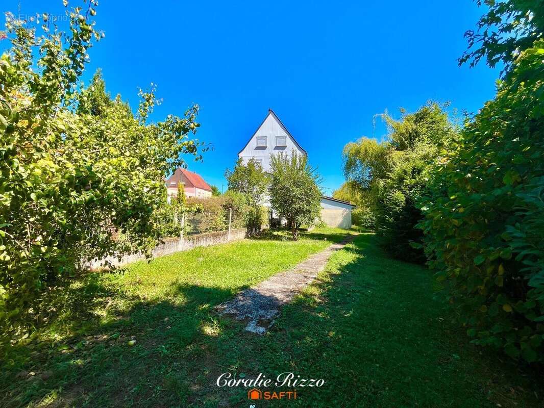 Photo 6 - Maison à FOLSCHVILLER