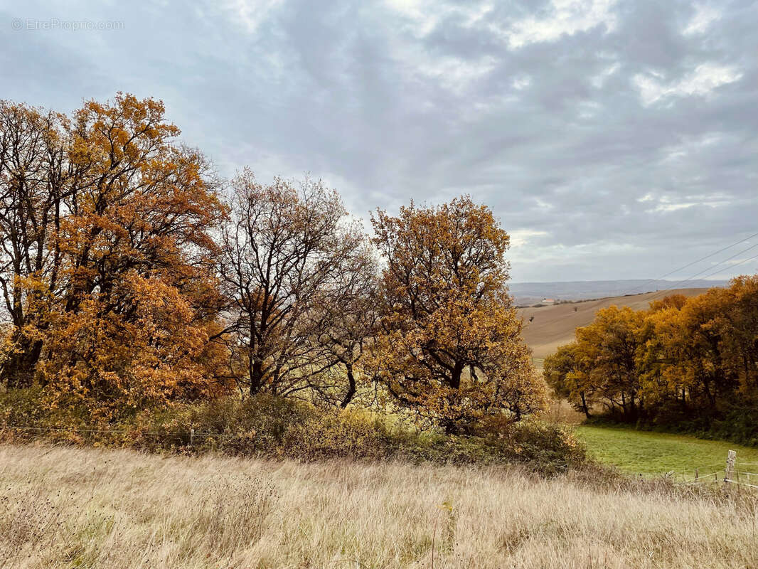 Terrain à LAMOTHE-CUMONT