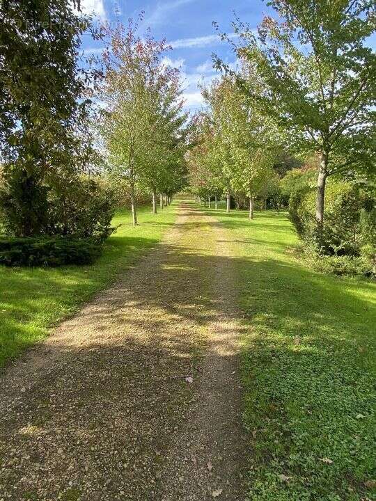 #maison #pierres #ferme #dépendance #terrain #gers #gîtes