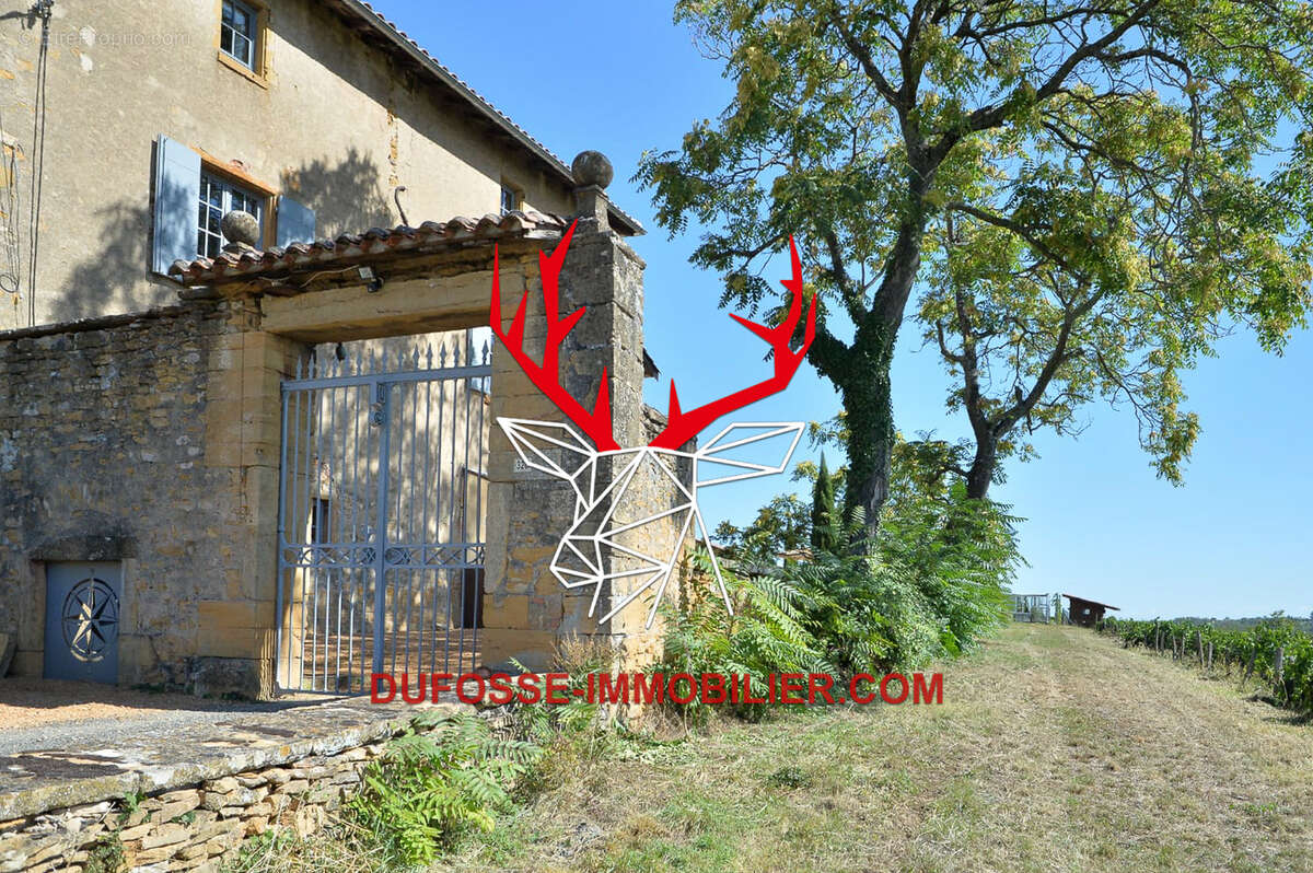Maison à POUILLY-LE-MONIAL