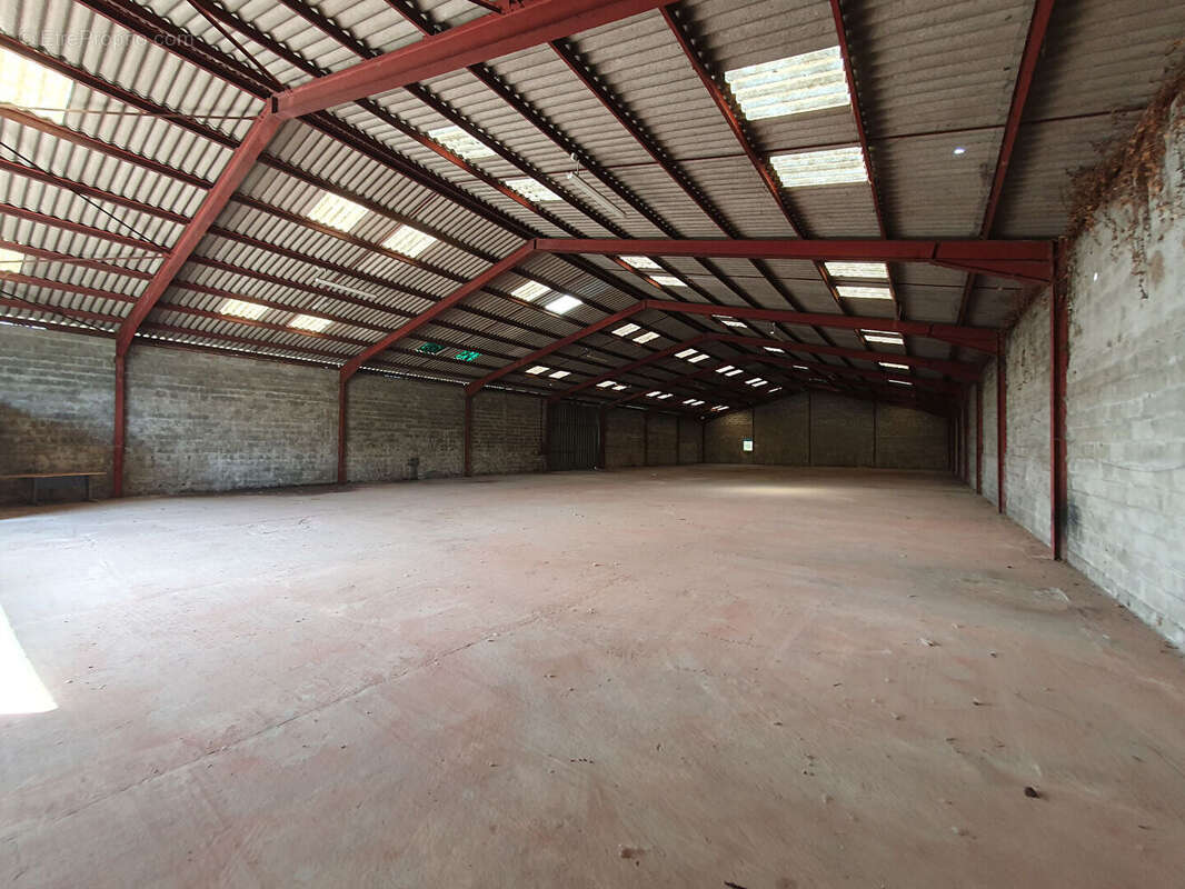 Commerce à AMBARES-ET-LAGRAVE