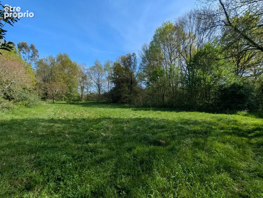 Maison , terrain 5 200m² - photo 8