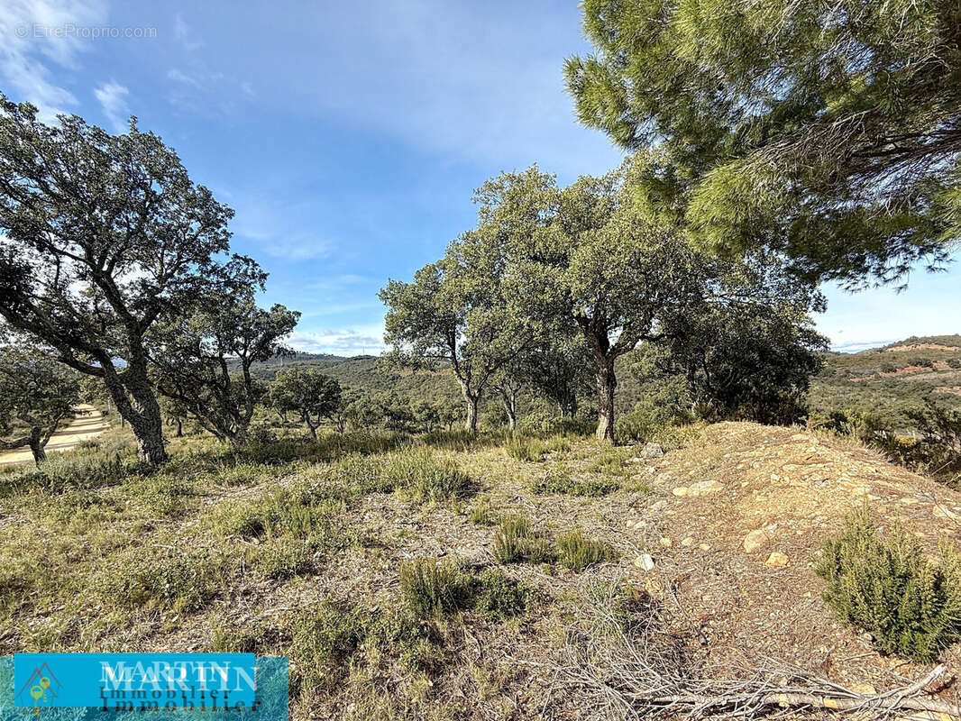 Terrain à VIVES