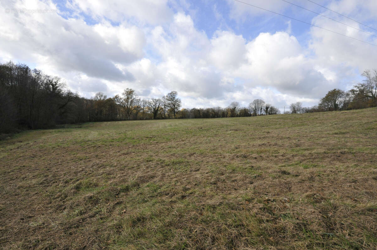 Terrain à VICQ-SUR-BREUILH