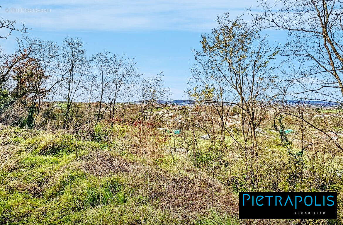 Maison à MONTMELAS-SAINT-SORLIN