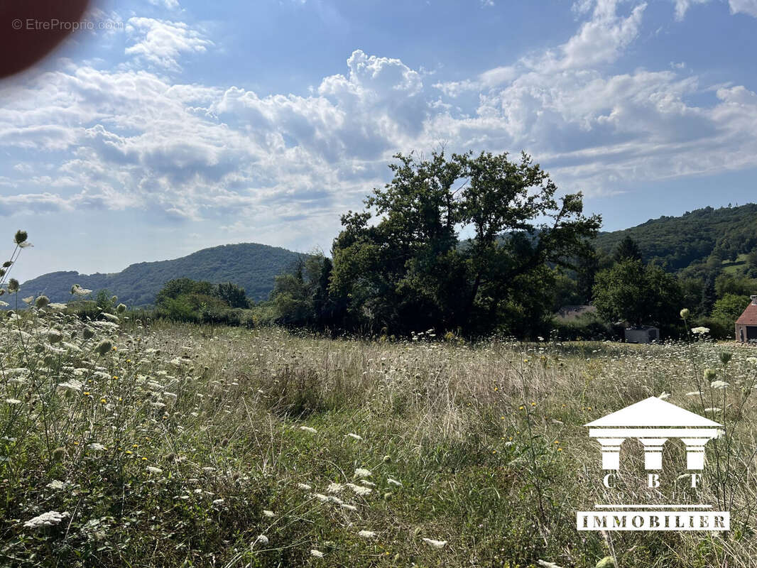 Terrain à SAINT-SERNIN-DU-BOIS