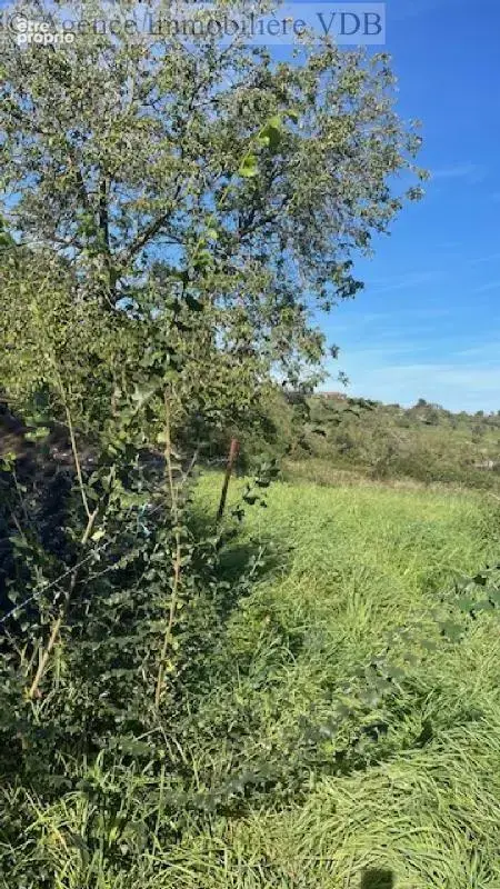 terrain constructible à vendre à BOUXIERES AUX CHENES - photo 6