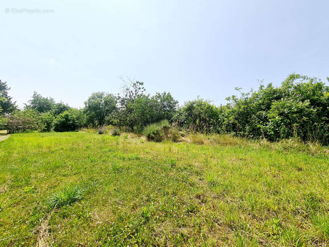 Maison à ROUVROY-SUR-MARNE