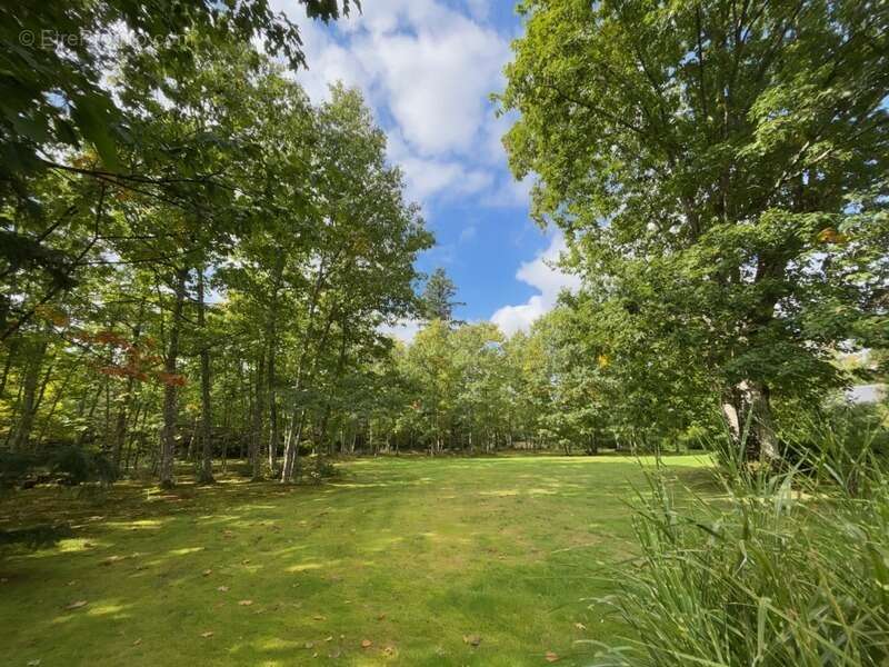 Maison à AUBIGNY-SUR-NERE