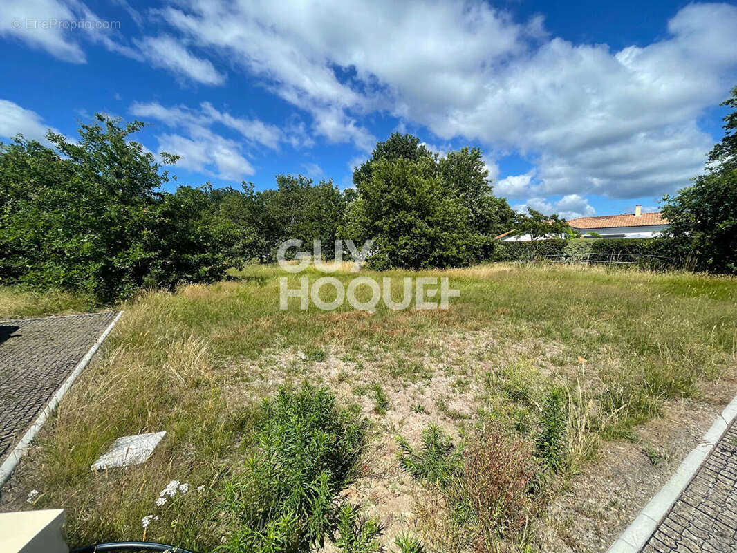 Terrain à PARENTIS-EN-BORN