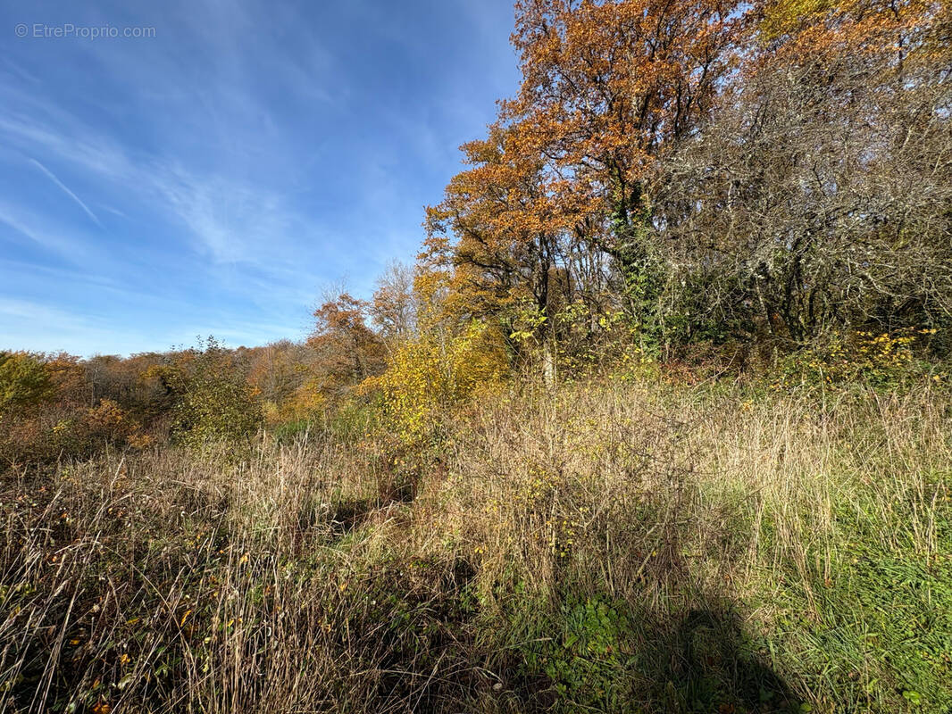 Terrain à CHAMPAGNEY