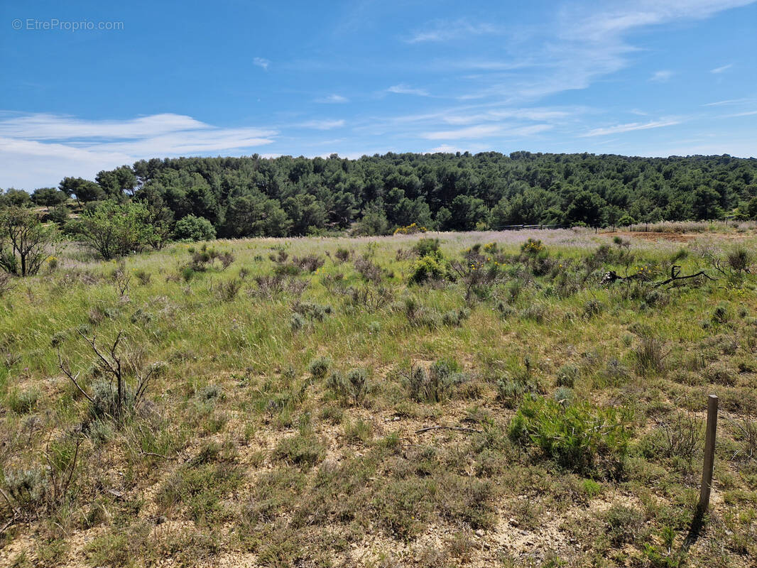 Terrain à NISSAN-LEZ-ENSERUNE