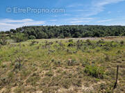 Terrain à NISSAN-LEZ-ENSERUNE