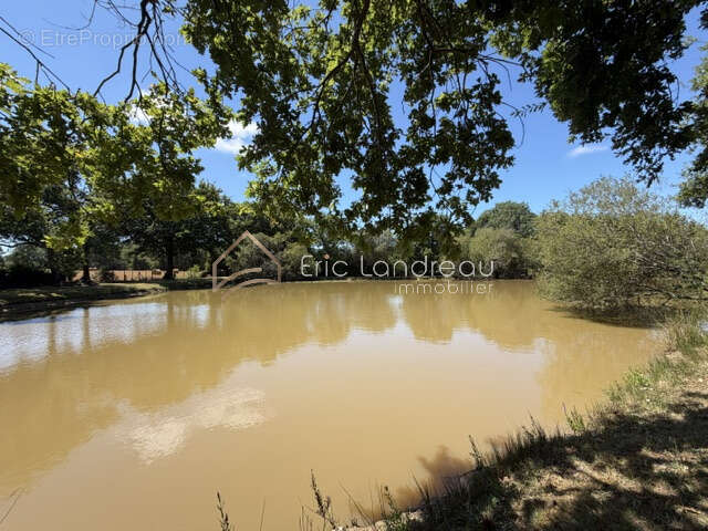 Plan d'eau avec chalet sur un terrain d'environ 5290 m2 - photo 6
