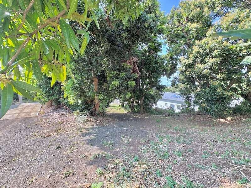 Terrain à SAINT-LOUIS