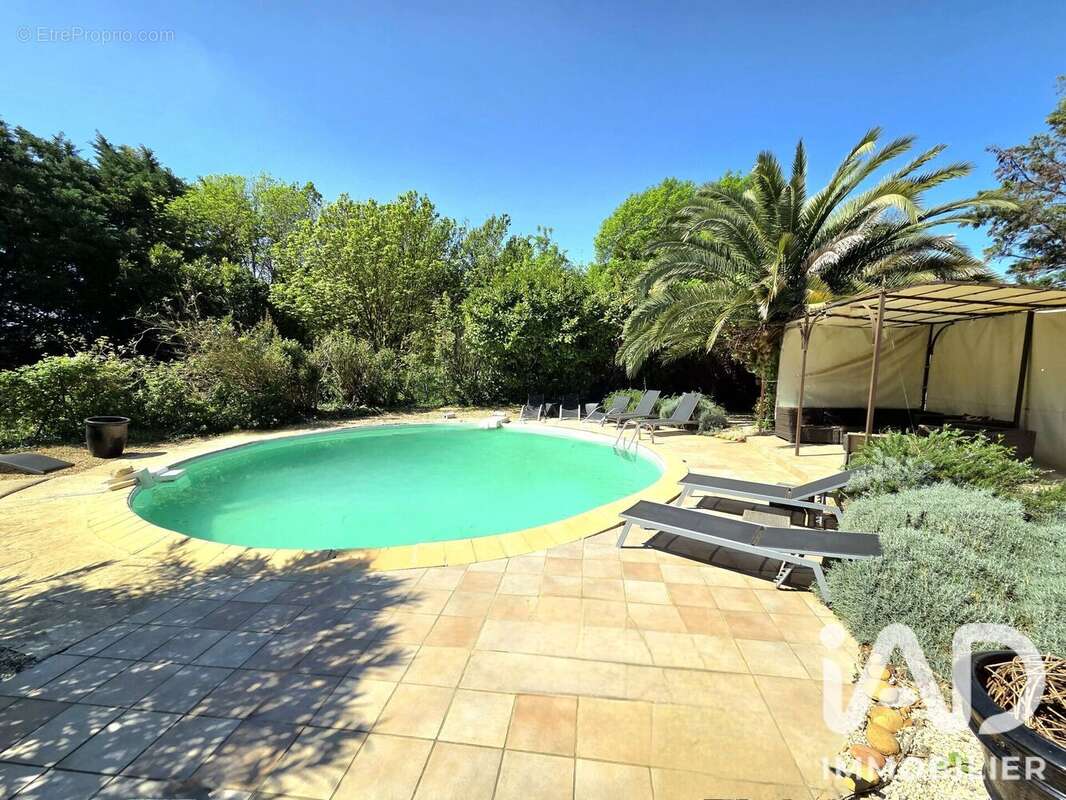 Maison 165 m² à Caderousse  - photo 2