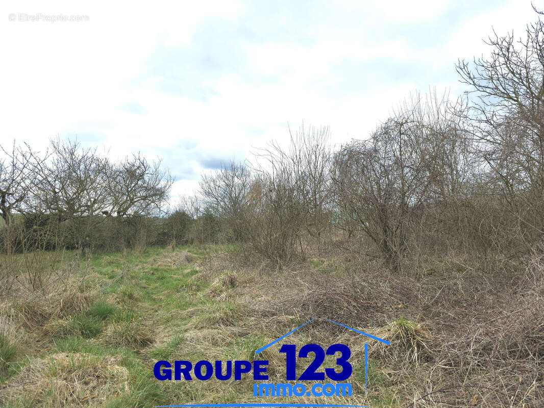 Terrain à MERRY-SEC