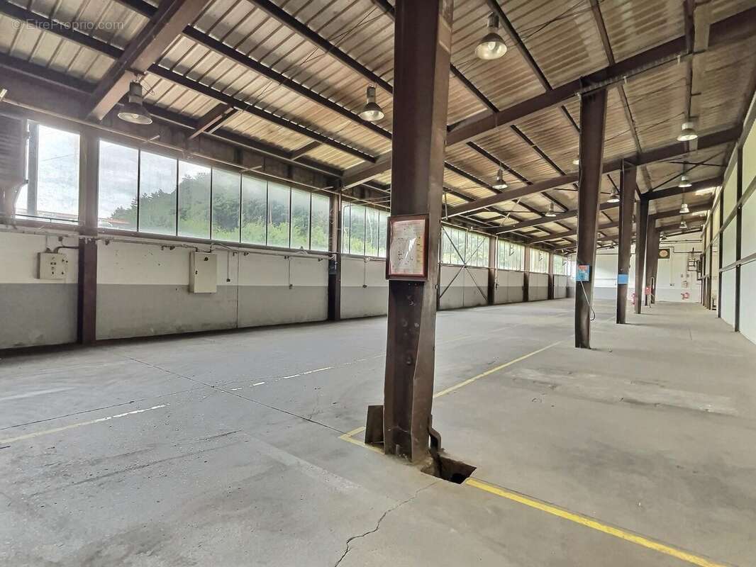 Commerce 2680 m² à Saint-Avold  - photo 5