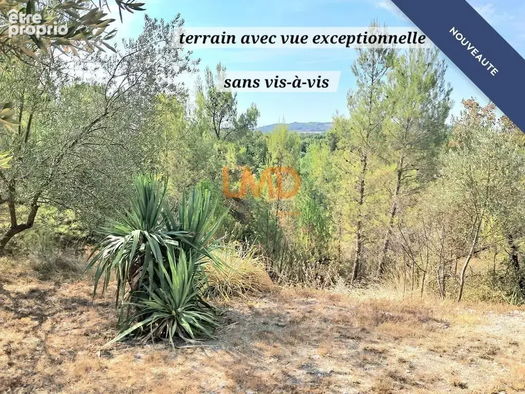 Maison de charme avec studio independent, 3000m2 de terrain bois - photo 8