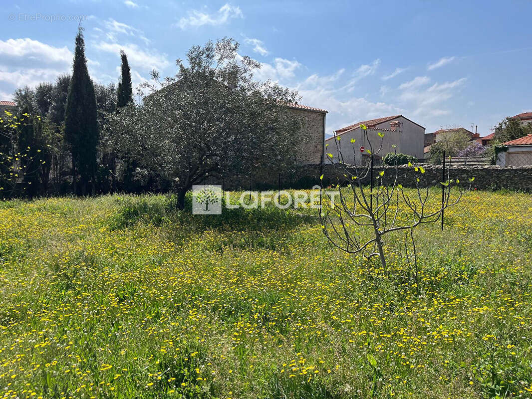 Terrain à MAUREILLAS-LAS-ILLAS