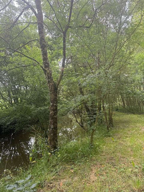 Terrain à SAINTE-HERMINE