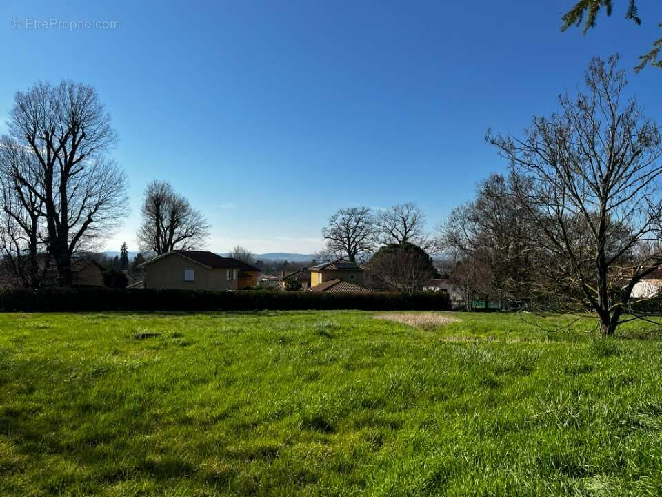 Terrain 453 m² à Parcieux  - photo 2