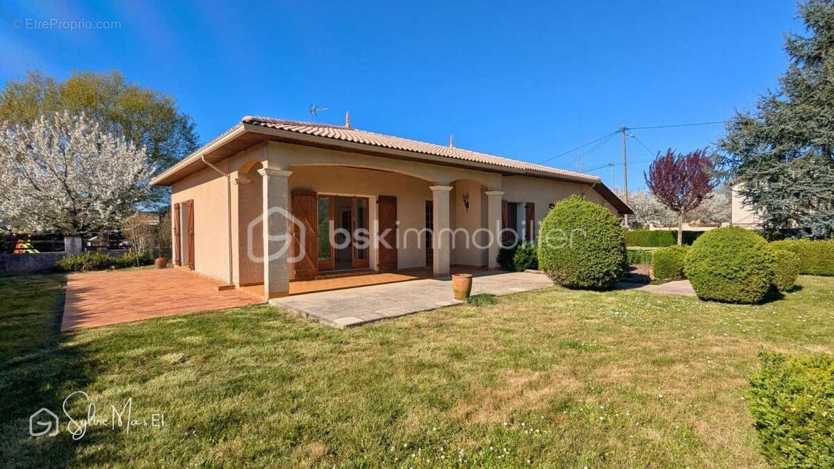 Maison à SAINT-VITE