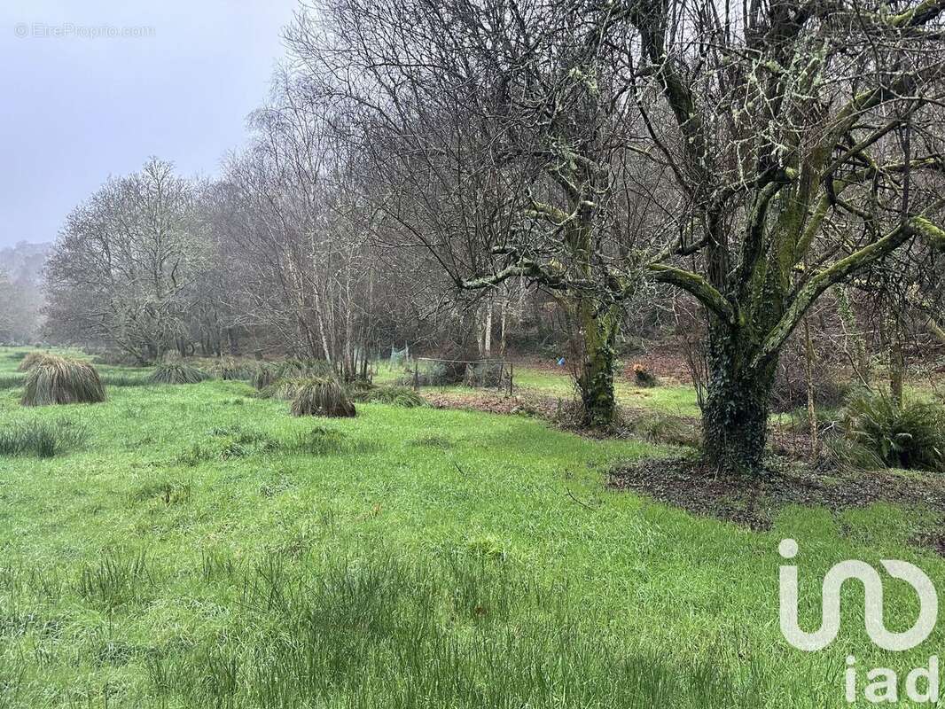 Photo 5 - Terrain à QUIMPER