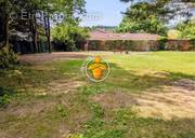 Terrain à SAINT-JEAN-DE-BOURNAY