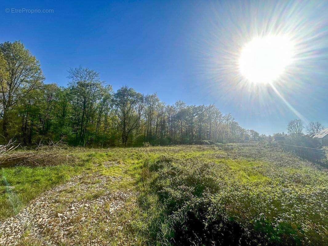 Terrain à VILLEFRANCHE-SUR-CHER