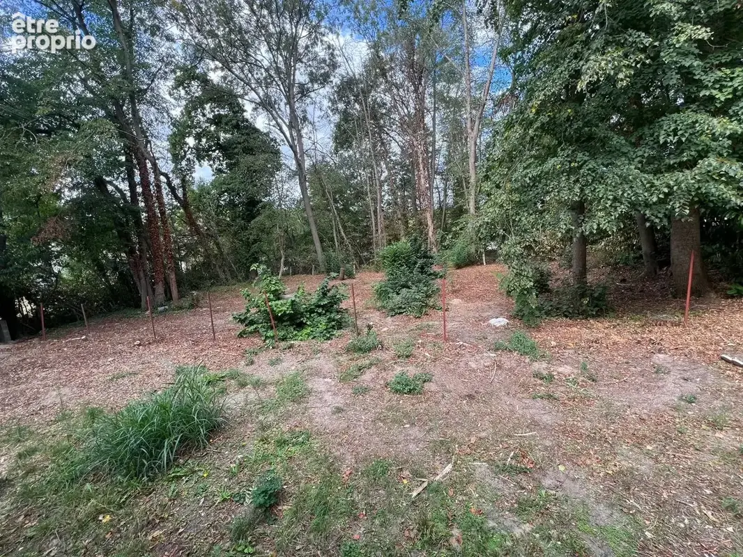 Maison 4 pièces 74 m² à vendre à Sermaise (91530) - photo 11
