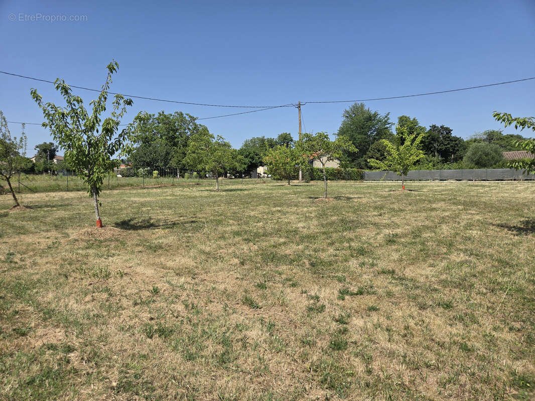 Maison avec sous-sol, grand terrain constructible, à 20 min de Bergerac - photo 15