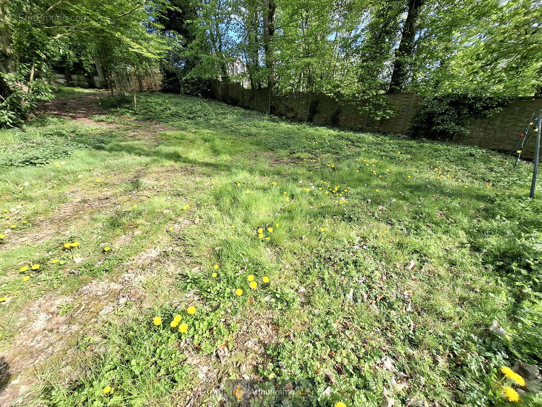 Terrain à COULOMMIERS