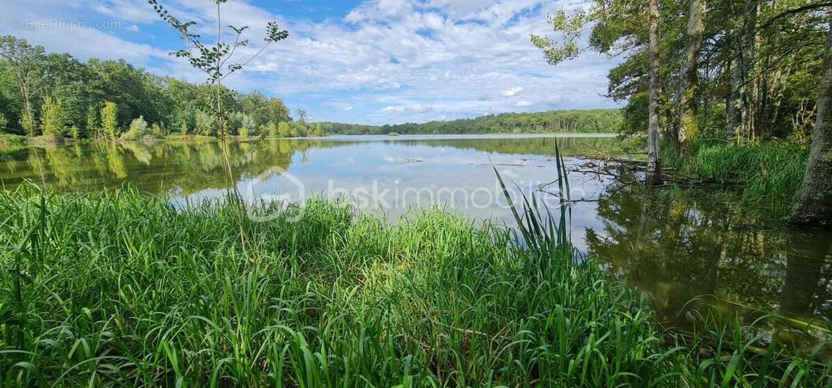 TERRAIN de 240 000 m² - photo 3