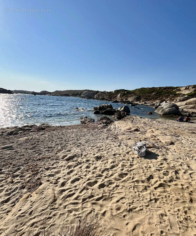 Propriété 4 logements à 1 km des plages - proche de la Réserve Naturelle de Spanu - photo 18