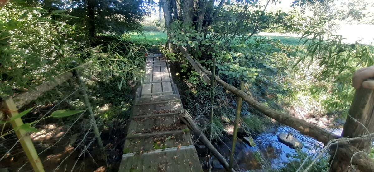 Terrain à MIRECOURT