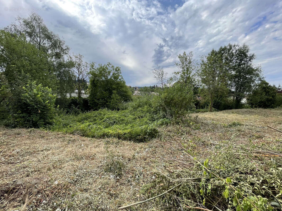 Terrain 1235 m² à Cours-La-Ville  - photo 3