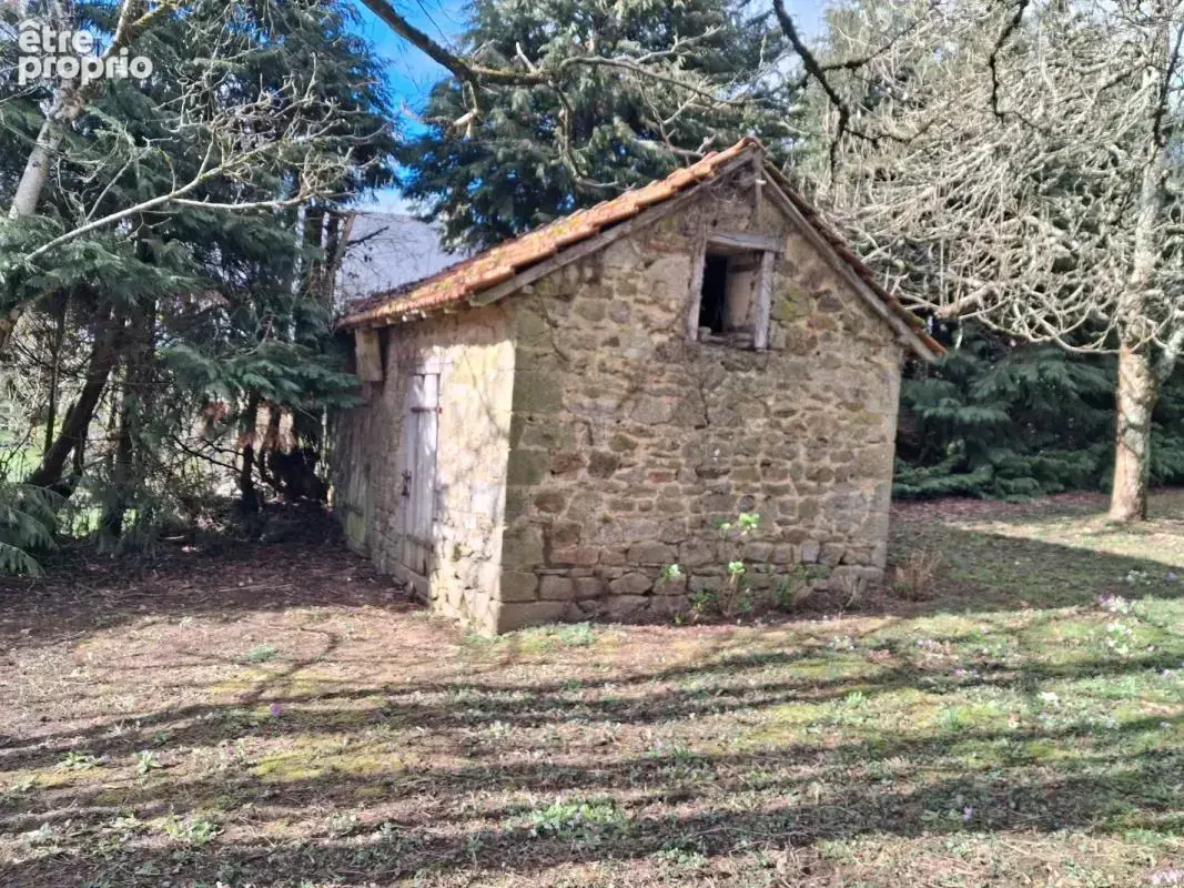 Maison 101 m² à Domps  - photo 3