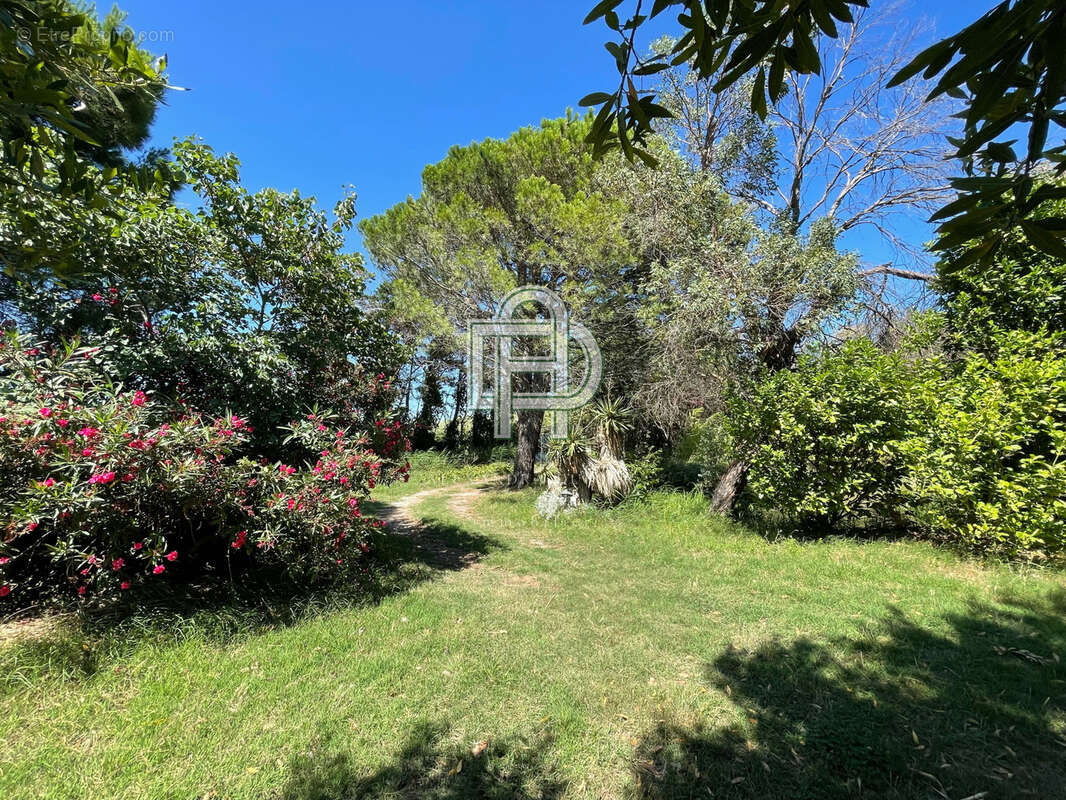 Maison à GRUISSAN