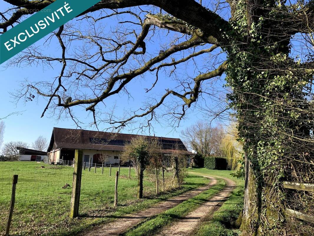 Photo 1 - Maison à LOUHANS