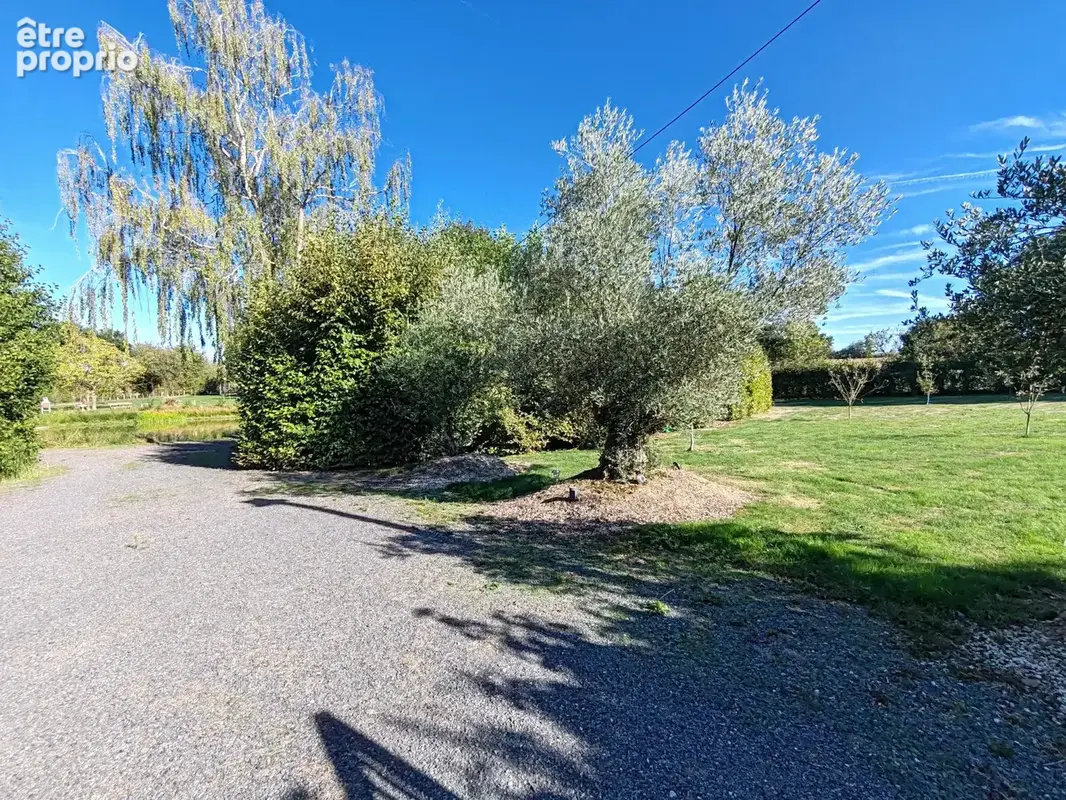 Terrain de loisirs 6800 m2 - étang - photo 5