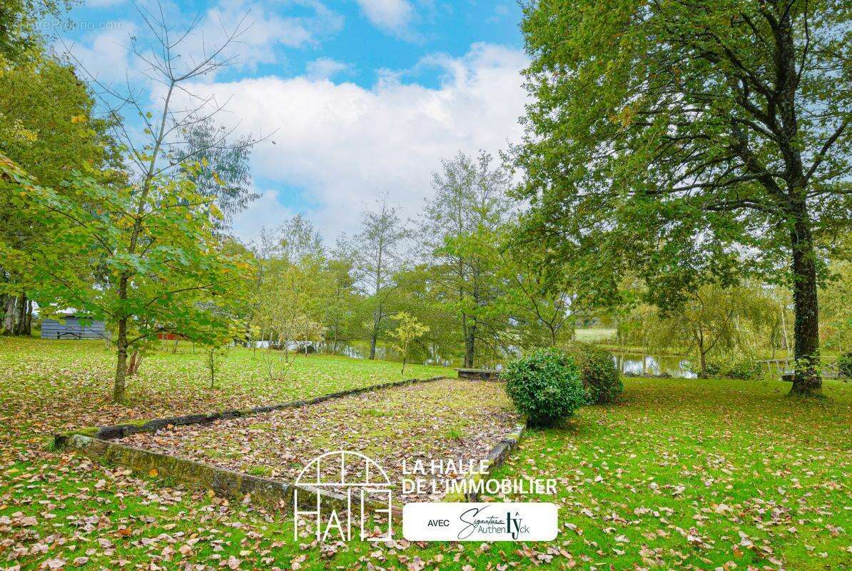 Terrain à SAINT-AUVENT