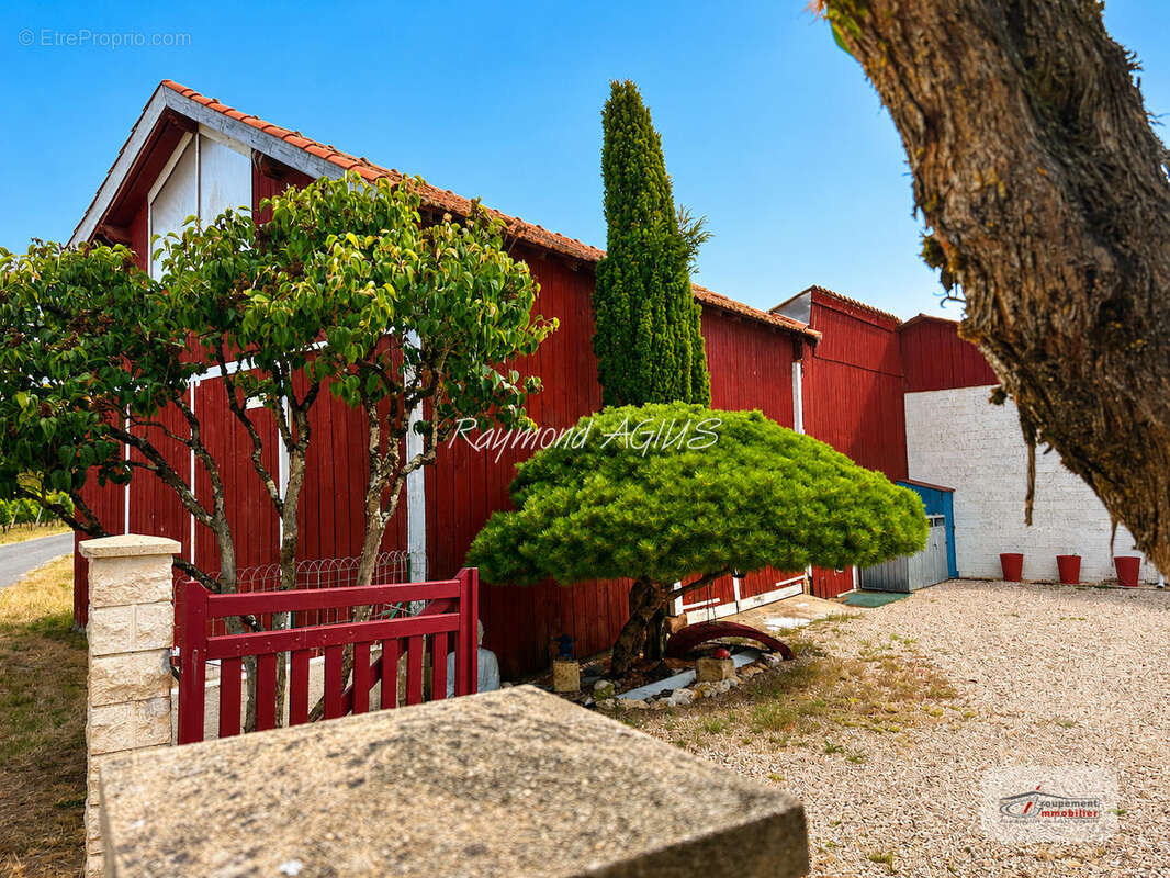 Charmante longère de vigneron avec studio, piscine et séchoir traditionnel - photo 9
