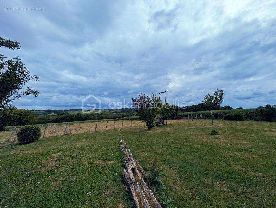 Achat Terrain Triguères (45) – 2 226 m² au Calme Absolu avec Vue Dégagée - photo 4