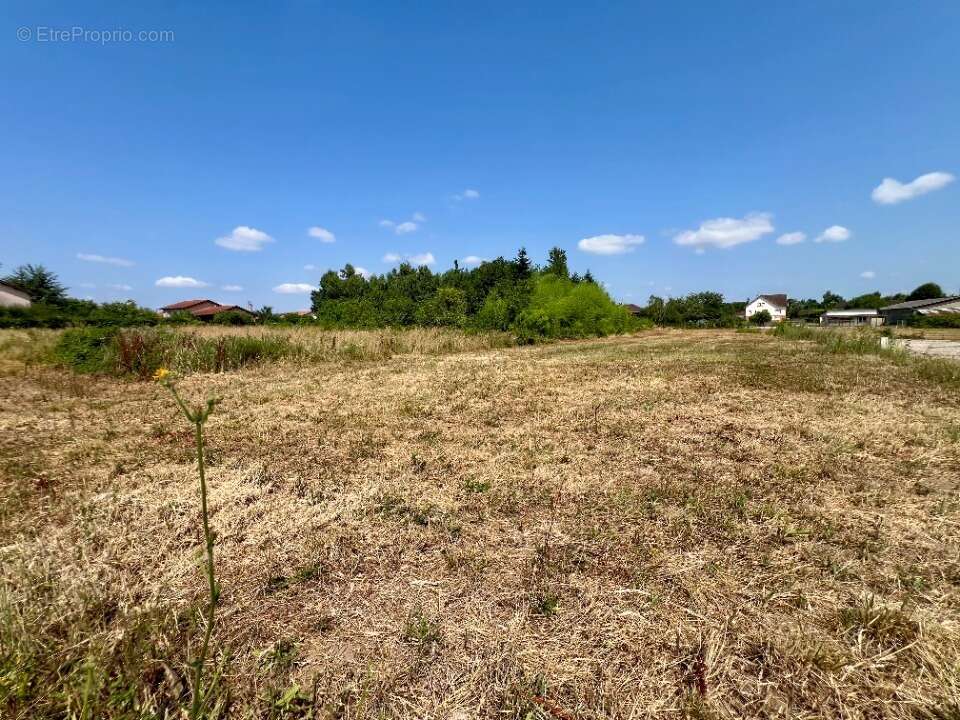 Terrain 601 m² à Replonges  - photo 4